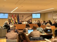 María Martín informa a la Comisión de Salud y Políticas Sociales de la propuesta de reorganización del Hospital de Calahorra